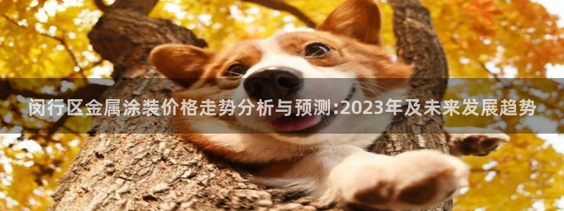 美高梅股票
