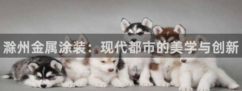 美高梅国际酒店集团官网