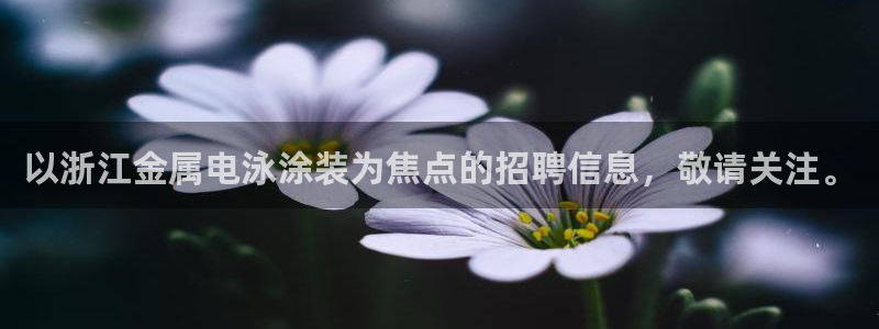 美高梅自助年卡