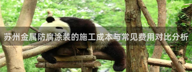 美高梅集团何超琼