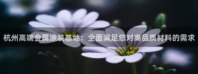 美高梅游戏官网app