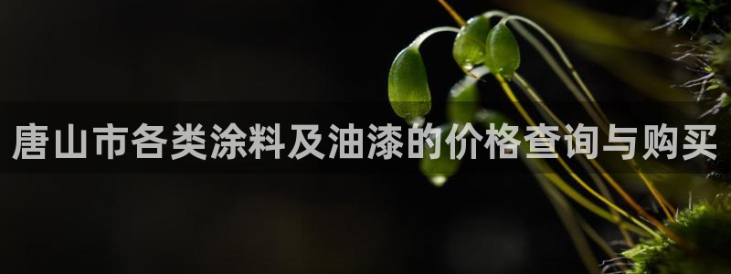 美高梅儿童托管怎么样知乎