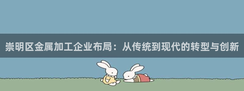 美高梅网络科技有限公司