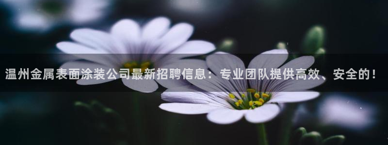 美高梅和米高梅是一家公司吗
