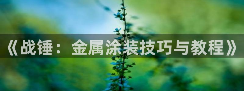 美高梅老板叫什么