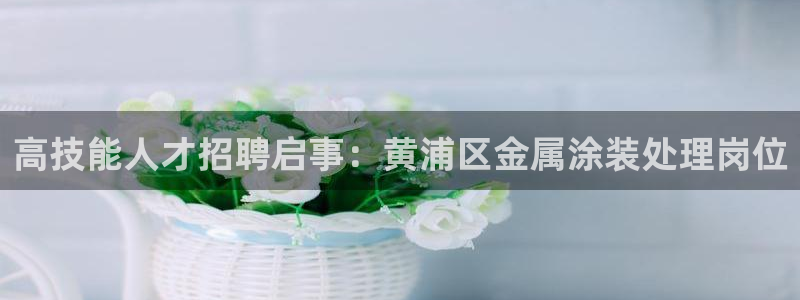 美高梅酒店会员卡
