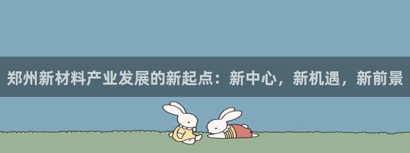 美高梅是谁的资产