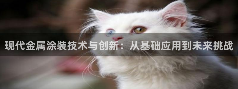 美高梅餐饮店在哪里开