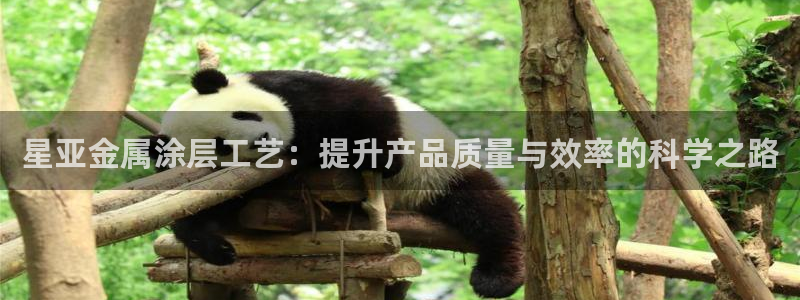 美高梅酒店人均