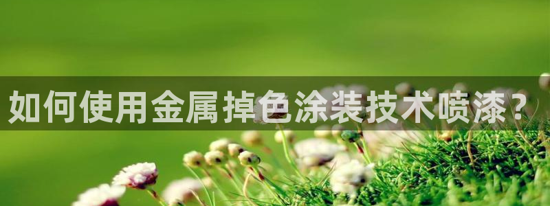 美高梅积分卡级别