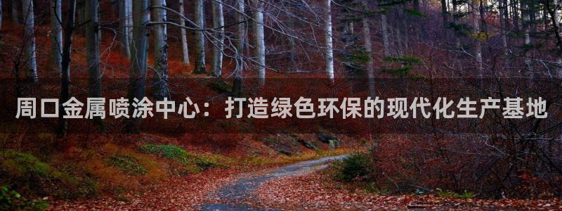 美狮美高梅酒店谁开的