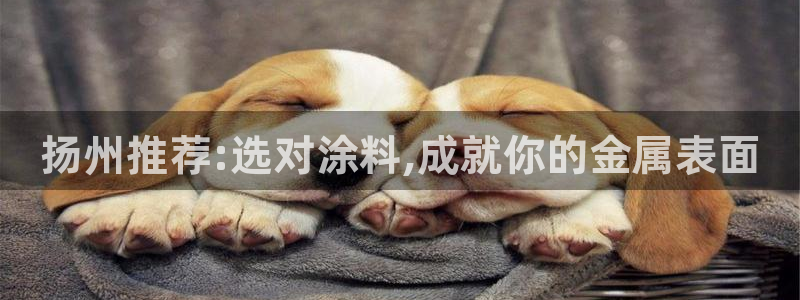 美高梅会员卡有什么用