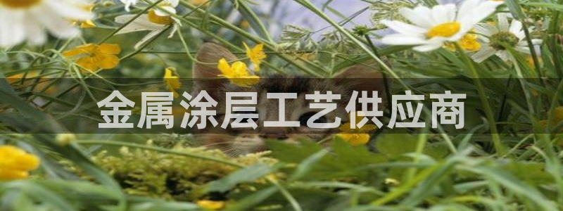 美高梅北京国际文化旅游发展有限公司官网