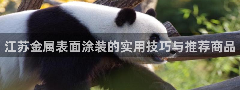 美高梅退房时间