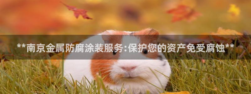 美高梅酒店洗漱用品