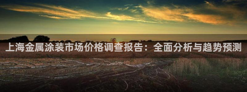 美高梅酒店拖鞋