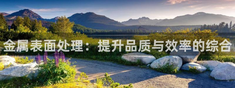 美狮美高梅酒店里的娱乐场承包出去了吗