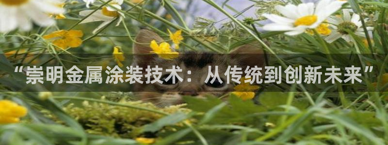 美高梅为什么是35层纪念陈百强